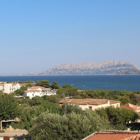 La Conchiglia Villa Olbia Ngoại thất bức ảnh